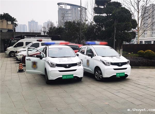 重庆九龙坡区公安局交车现场--小型SUV轿车款电动巡逻车