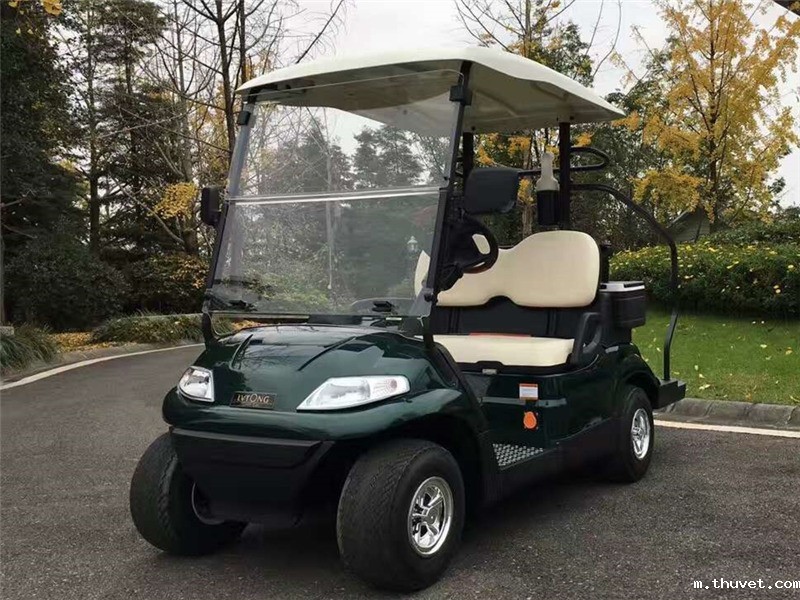 2座高尔夫球车